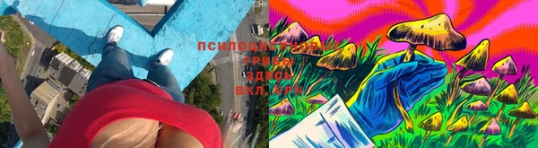 mdpv Переславль-Залесский