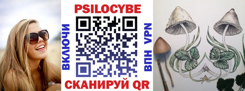 Псилоцибиновые грибы мухоморы  кракен как войти  Алатырь 