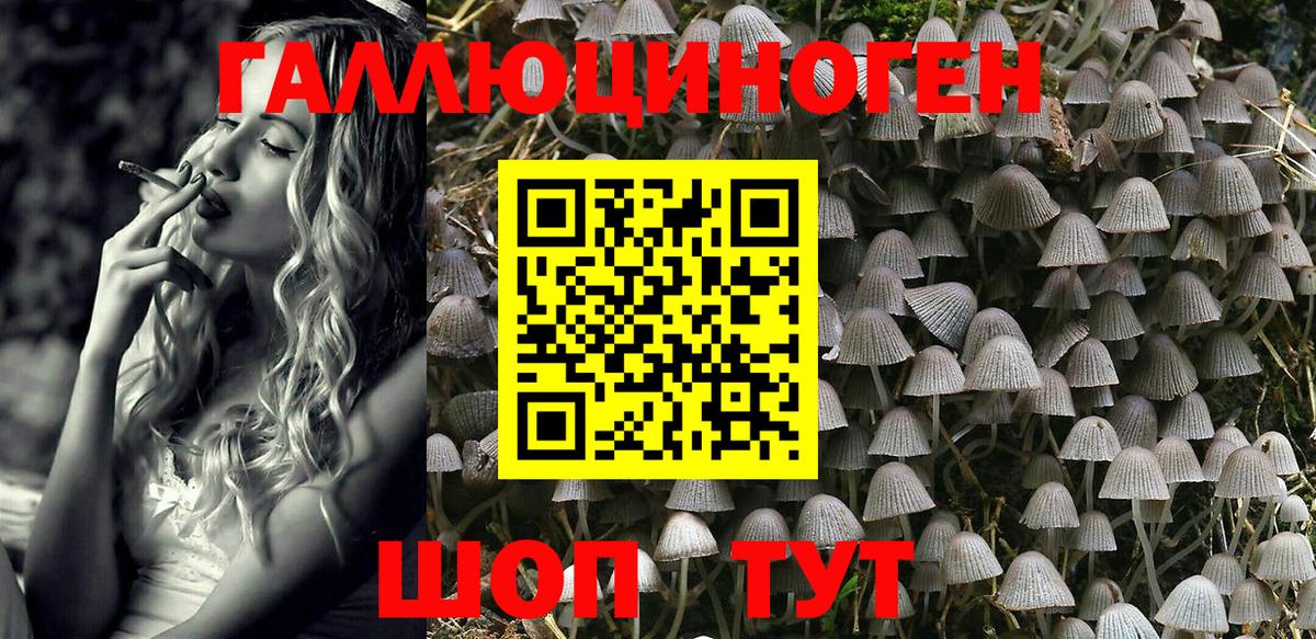 Галлюциногенные грибы мицелий  купить наркотик  Алатырь 